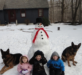 All three of my chidren with our German Shepherd Dogs Fanto and Brenna  with there newest friend Frosty the snow man.
